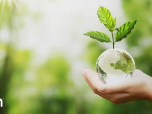 Top 3 Eco-friendly Benefits To Jumpstart a Greener Business