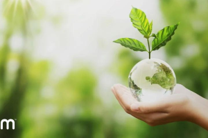 Top 3 Eco-friendly Benefits To Jumpstart a Greener Business