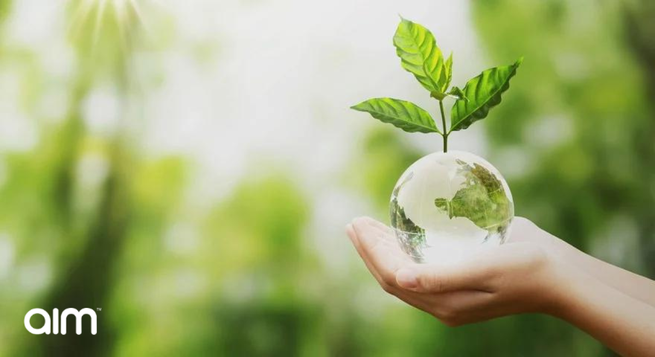 Top 3 Eco-friendly Benefits To Jumpstart a Greener Business